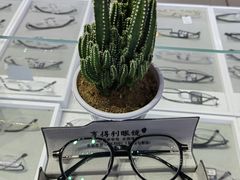 -罗伯特眼镜·蔡司官方授权(罗湖国贸店)