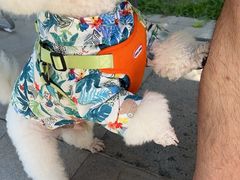 -小意思咖啡店(草桥店)