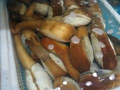 -港畔赶海蒸汽海鲜烧烤自助(仙螺岛店)