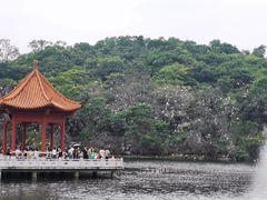 -广州莲花山旅游区