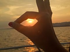 -海豚湾扬帆出海帆船游艇