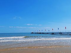 -日照海滨国家森林公园