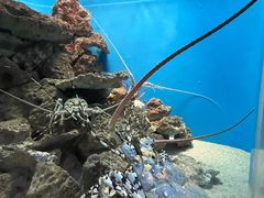 -鹿儿岛水族馆