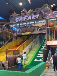 -卡通尼·Safari非洲探索乐园·生日会(金桥国际商业广场店)