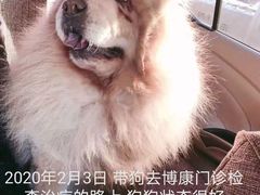 -博康动物诊所(兴国中路店)