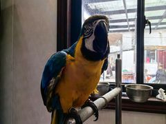 -观桥阁(锦溪店)