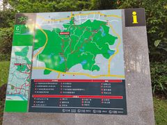 -火炉山森林公园