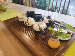 -青青一生美皮肤管理