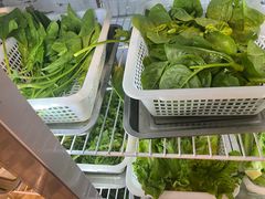 -金鼎雪山牦牛杂火锅(理县总店)