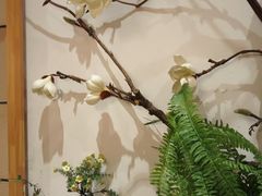 -九田家黑牛烤肉料理(华侨城店)