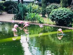 -九龙公园