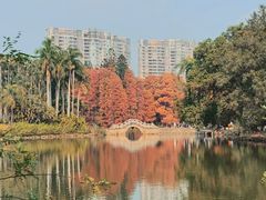 -中国科学院华南植物园