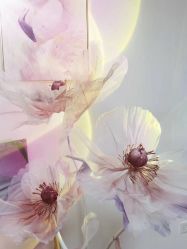 -美肤盾祛痘·问题肌头疗管理中心