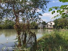 -新荣记(西溪湿地店)