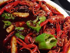 -京悦南门涮羊肉·羊蝎子火锅(田林路店)