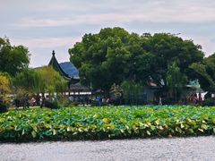 -无锡蠡湖国家湿地公园-蠡园