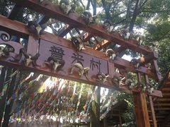 -云南民族村