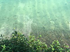 环境-紫云谷景区