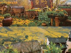 -婺源风景区