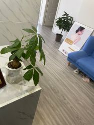 -凡碧诗毛孔收细