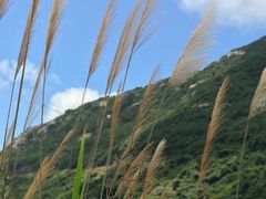 -金海湾海鲜排档(朱家尖店)