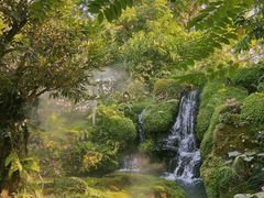 -Chom Cafe and Restaurant