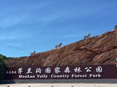 -茅兰沟国家森林公园