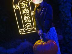-贵安欢乐世界