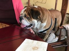 -意大利农场度假村