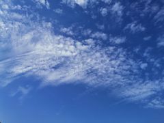 -尚贤河湿地