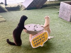 -肃宁华斯国际裘皮城