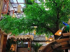 -大理董·董家小厨野生菌火锅(古城旗舰店)