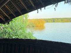 -大湾区中央湿地公园