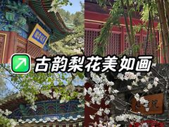 -潭柘寺景区