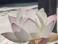 -西安市广仁寺