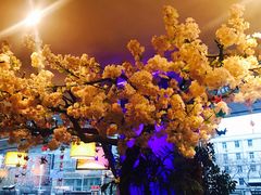 -北京花见餐饮管理有限公司