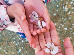 -甘井子公园