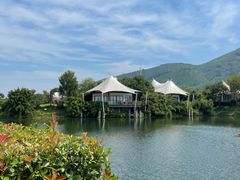 -帐篷客·溪龙茶谷度假酒店