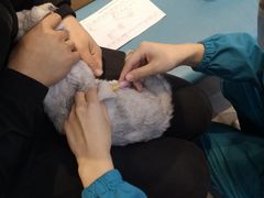 -联合动物医院(光谷诊疗中心)