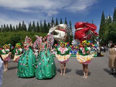 -黄海国家森林公园