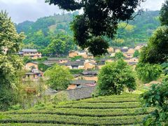 -杨家堂村