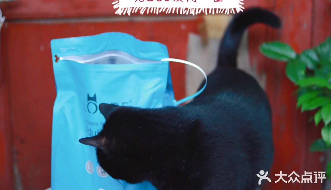 🐈养宠科普 | 国产网红猫粮评测报告！