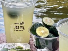 -一杯潮茶·专注潮汕茶饮(朝阳庄店)