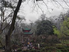 -岳麓山风景名胜区