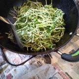 自家种的黑豆芽炒着吃