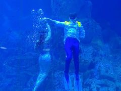 -威海华夏城景区