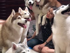 -TrueLove @ Neverland (Husky Cafe)