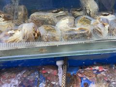 -张树军海鲜(王府壹号店)