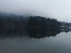 -庐山风景区花径公园