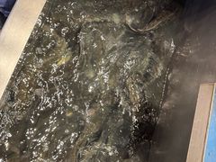 -周渝食惦酸菜鱼(青浦店)